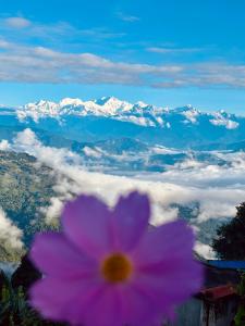 Kismat Homestay Dawaipani