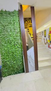 Experience Pyramids VIEW