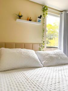 Loft Lumiere Vila do Abraão Ilha Grande