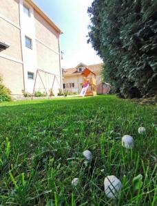 Vila Miona Apartments