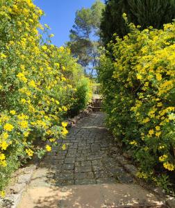 Charmant studio vue piscine idéal en couple, calme et détente assurés