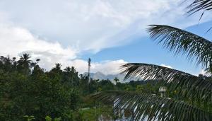 Re-Leaf Hom-Treat Homestay