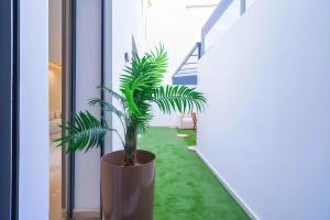 MAYA SUITES - Corniche Seaside