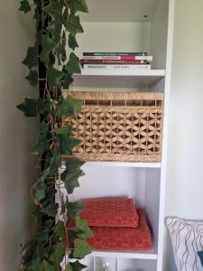 Tiny house Polderzicht