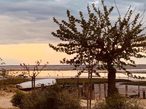 ARCACHON APPARTEMENT FACE PLAGE 5 personnes