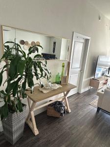 Edgewater Luxe 1BR