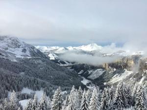 Superbe duplex 4 pièces pour 10 pers. à Avoriaz avec accès skis aux pieds - FR-1-314-122