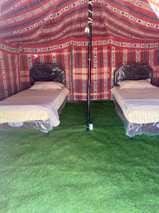 Stars camp