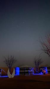 Stars camp