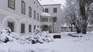 Balónový zámek Radešín