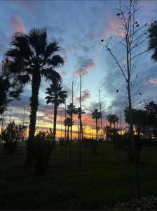 Shëngjin Shores Apartments