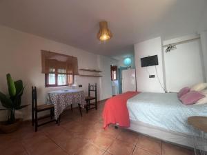 Estudio en el Albayzin