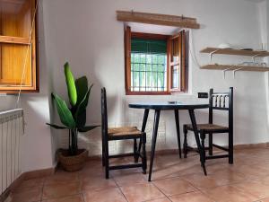 Estudio en el Albayzin