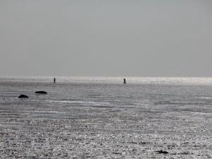 Ferienwohnungen Deichtraum