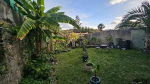 Appartement lumineux - 2 chambres - jardin