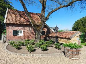 Vakantiehuis de Bakspieker