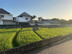 Villa Jiji cozy chic in Bali - just renovated !