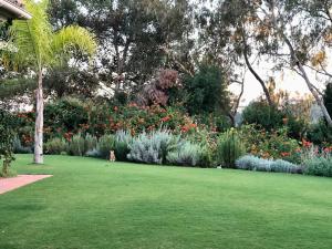 Patio Room Sotogrande