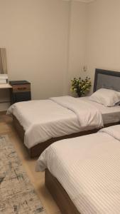 دوبلكس فاخر