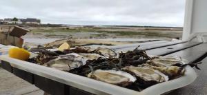 Appart cosy Carnac - T2 avec jardin, plage à 200m & Séjours à thèmes en option, Thalasso à 5mn