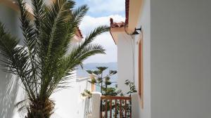 Nereides Apartments Samos Greece