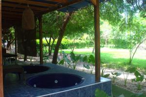 Mango Tree Island 420