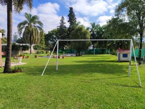 PRINGLES 1740 Ámbar