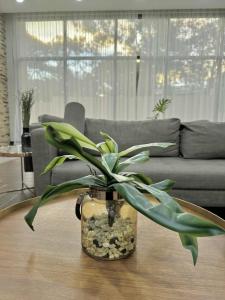 Comfort Homey Studio with Fresh Mountain Air by Cherisias Hideaway