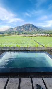 Wiguna Kintamani Mount Batur View