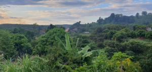 Banlung Mountain View Treks & Tours