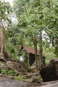 Nature Retreat by the Waterfall, Toom Sara Village, 15mins to Ba Na Hills