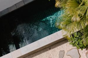 The Birdhouse Uluwatu 2BR Treetop Private Home with Deep Plunge Pool