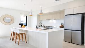 Serendipity Shell Cove