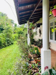 Villa 44