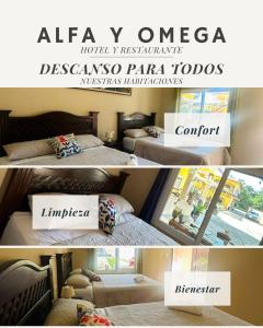 Hotel Alfa y Omega