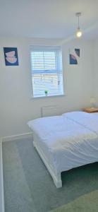 Lovely accomodation with free parking & WiFi