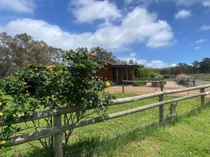 Starlight Lodge