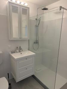 Brand new studio in Vienna