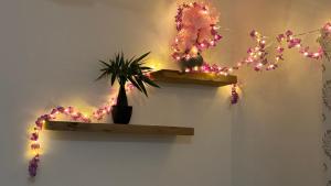 Swargaa Fireflies Duo