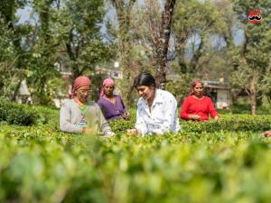 Moustache Hostel Bir