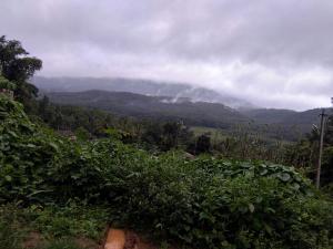 chikmagalurmalnadhomestay-8-1-4-7-4-8-0-5-2-3