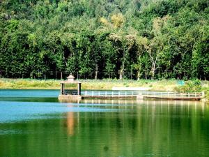chikmagalurmalnadhomestay-8-1-4-7-4-8-0-5-2-3