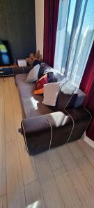 AmurResidence S46 Sauna -parcare privata- 3 camere