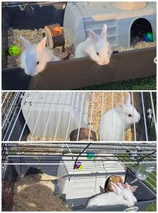 AmurResidence S46 Sauna -parcare privata- 3 camere