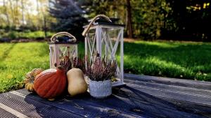 Domek z widokiem Wilczy Jar