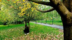 Domek z widokiem Wilczy Jar