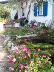 The Olive Branch Poros-Island Greece