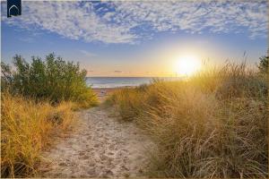 Apartment Strandläufer