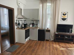 Radomir Downtown 1-bedroom Apartment with balcony