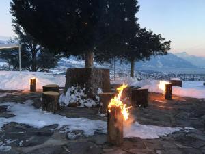 Hotel du Léman - Jongny